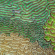 Illustration for article titled These Are the Most Spectacular Nature Photos of the Year